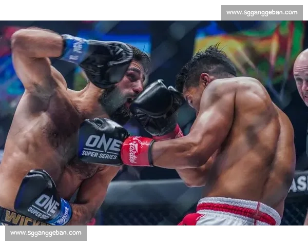 阿拉佐夫vs达占巴巅峰对决揭示站立格斗王者之争全景解析深度版